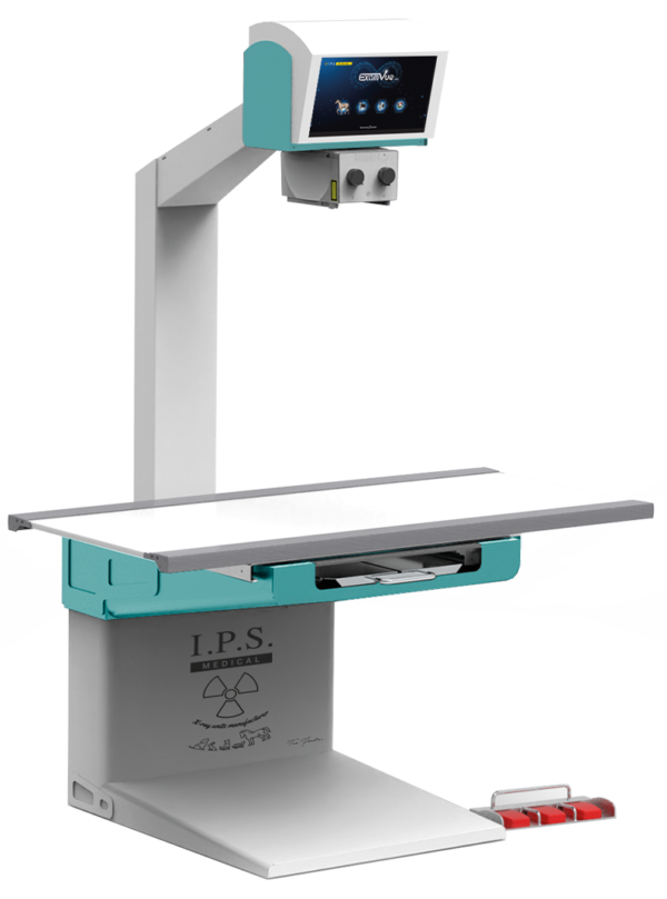 Divina-Standard-1 divina standard