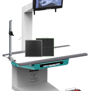 divina standard full digital