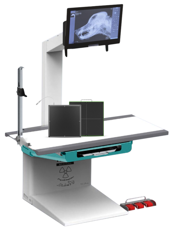 Divina-Standard-Fulldigital-1 divina standard full digital