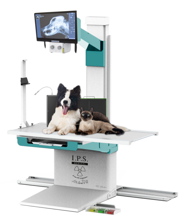 divina elite full digital