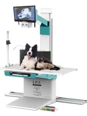 Divina_Elite_Fulldigital_pets