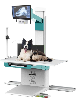 Divina_Elite_Fulldigital_pets-removebg-preview